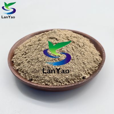 Bảo vệ môi trường Vi sinh vật xử lý nước thải sinh học vi khuẩn để loại bỏ bùn bột nâu