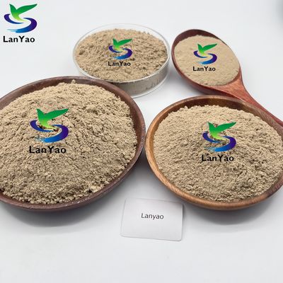 Biological Wastewater Treatment Các vi khuẩn / Enzyme / Active Sludge Các vi khuẩn khí quyển trong xử lý nước thải