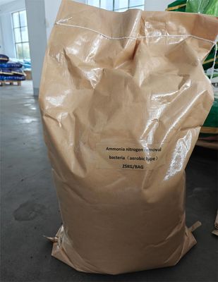 Biological Wastewater Treatment Các vi khuẩn / Enzyme / Active Sludge Các vi khuẩn khí quyển trong xử lý nước thải