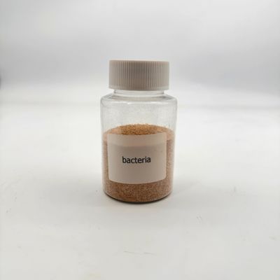Không độc hại, thân thiện với môi trường, xử lý nước, vi khuẩn sinh học, nồng độ cao để giảm ô nhiễm hữu cơ