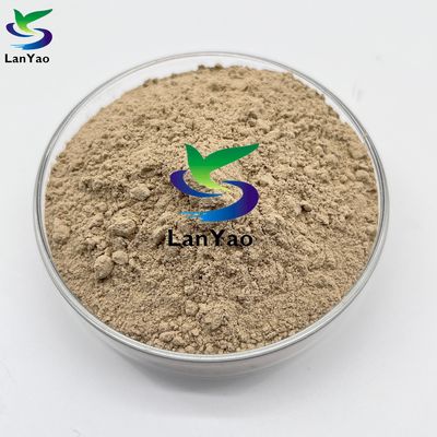 Vi khuẩn sinh học nitrifying vi khuẩn xử lý nước thải hiệu quả