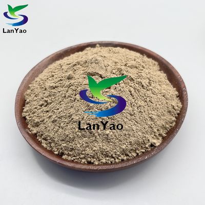 Vi khuẩn sinh học để làm sạch nước bằng hóa sinh học
