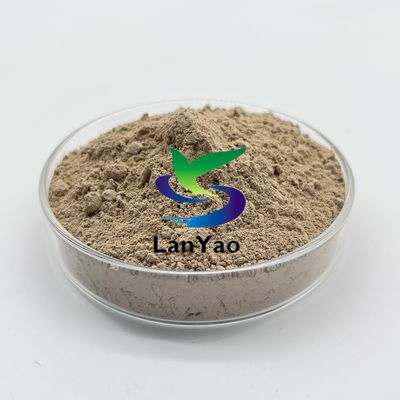 Các vi khuẩn nitrifying tiên tiến Công nghiệp xử lý nước thải gia đình