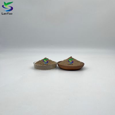 Xử lý nước thải