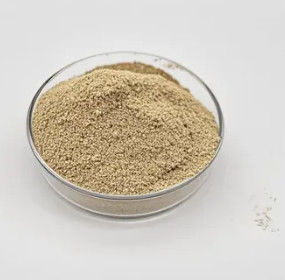 Điều trị nước Bột vi khuẩn sinh học hiệu suất lâu dài đáng tin cậy