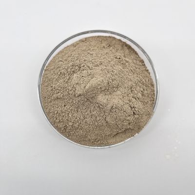 Xử lý nước thải Vi khuẩn làm giảm chất ô nhiễm hữu cơ và cải thiện nước