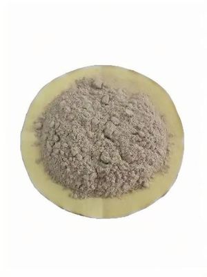 Vi khuẩn vi khuẩn tiên tiến để xử lý nước thải